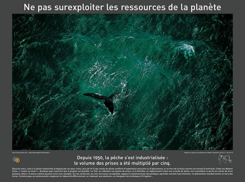 P2006 11 ne_pas_surexploiter 